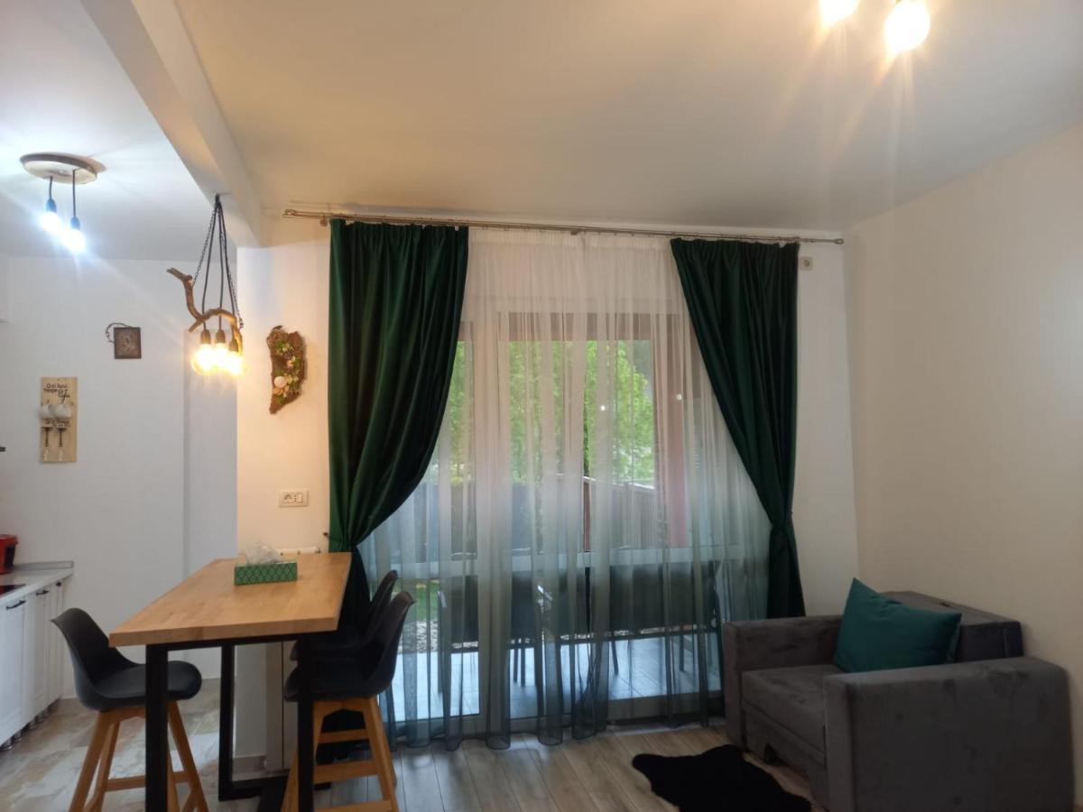 Belleview Garden Studio Apartment Sinaia Exterior foto